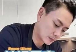 娱乐吃瓜君鹿晨辉,娱乐吃瓜界的风云人物