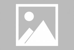 娱乐吃瓜酱金毛,吃瓜酱带你领略娱乐圈的欢乐瞬间