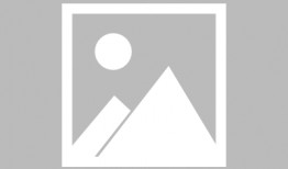 娱乐吃瓜酱金毛,吃瓜酱带你领略娱乐圈的欢乐瞬间