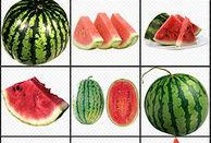 吃瓜娱乐背景板图片大全,盘点热门吃瓜娱乐背景板图片大全